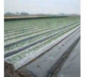 Mulch Sheet
